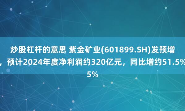 炒股杠杆的意思 紫金矿业(601899.SH)发预增，预计2024年度净利润约320亿元，同比增约51.5%