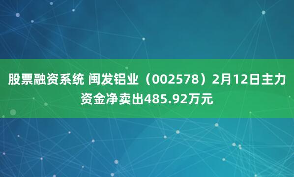股票融资系统 闽发铝业（002578）2月12日主力资金净卖出485.92万元