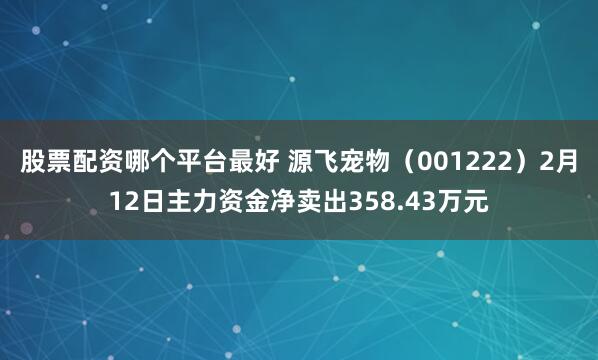股票配资哪个平台最好 源飞宠物（001222）2月12日主力资金净卖出358.43万元