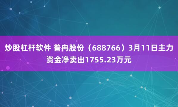炒股杠杆软件 普冉股份（688766）3月11日主力资金净卖出1755.23万元
