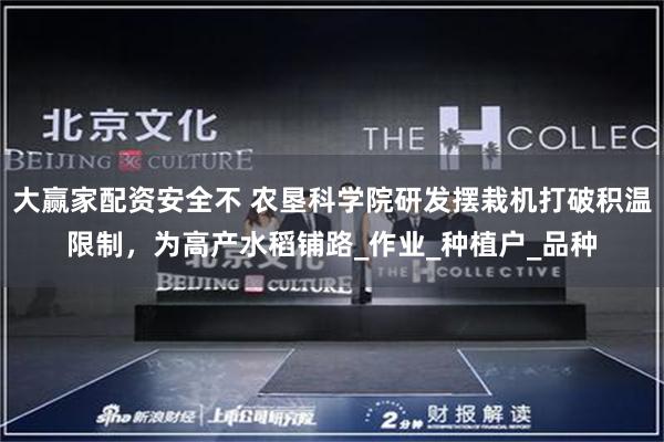 大赢家配资安全不 农垦科学院研发摆栽机打破积温限制，为高产水稻铺路_作业_种植户_品种