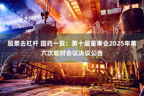 股票去杠杆 国药一致：第十届董事会2025年第六次临时会议决议公告